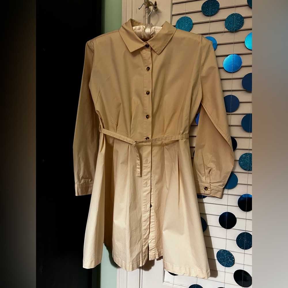 Zara long-sleeved, button downn dress. Very good condition!